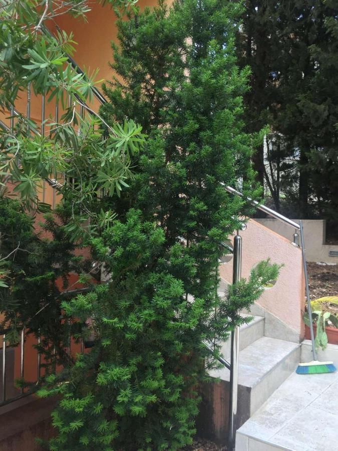 Ruza Vetrova Apartment Бар Екстериор снимка